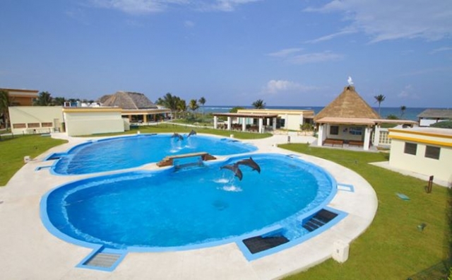 piscina delfines tulum